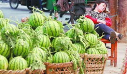 沧州保定吃瓜最新事件爆料,揭秘最新网络热议焦点